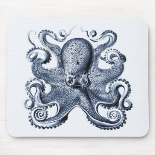 Navy Blue Octopus illustration av Ernst Haeckel Musmatta