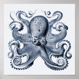 Navy Blue Octopus illustration av Ernst Haeckel Poster