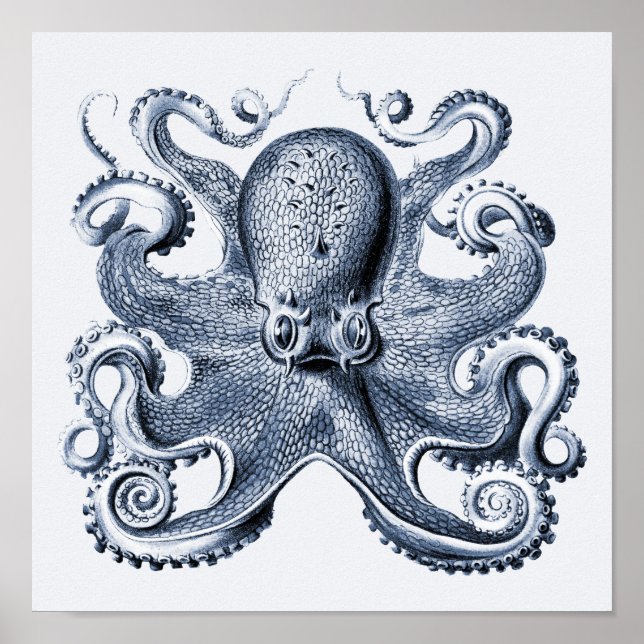 Navy Blue Octopus illustration av Ernst Haeckel Poster (Framsidan)