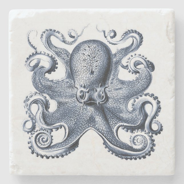 Navy Blue Octopus illustration av Ernst Haeckel Stenunderlägg (Framsidan)