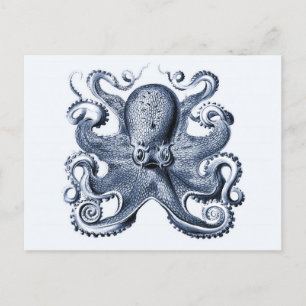 Navy Blue Octopus illustration av Ernst Haeckel Vykort