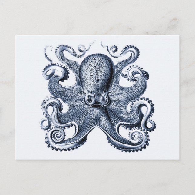 Navy Blue Octopus illustration av Ernst Haeckel Vykort (Framsida)