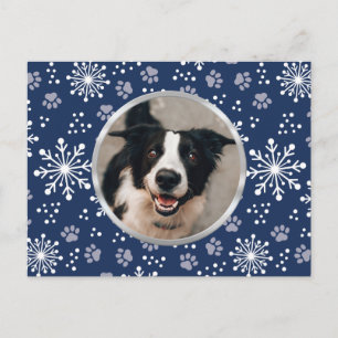 Navy Snowflake Paw-mönster Husdjursfoto Vykort