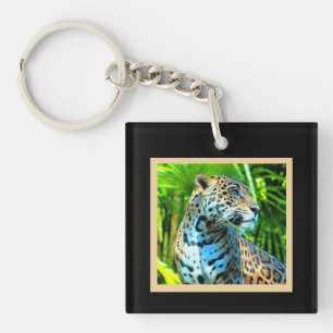Nayla Jaguar