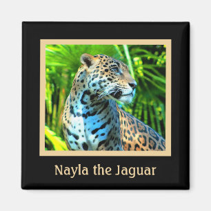 Nayla Jaguar Magnet