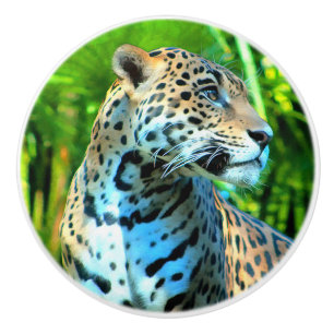 Nayla the Jaguar Knopp