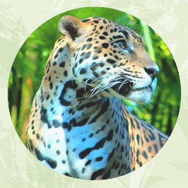 Nayla the Jaguar Runt Klistermärke