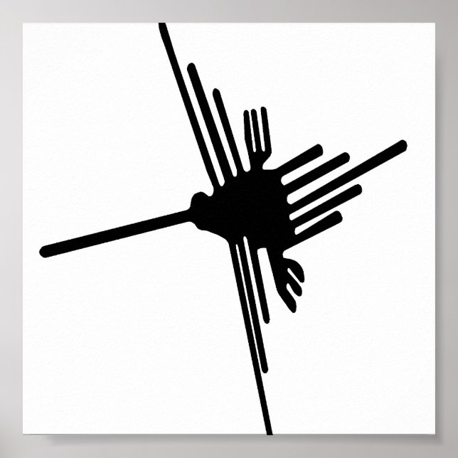 Nazca Hummingbird poster (Framsidan)