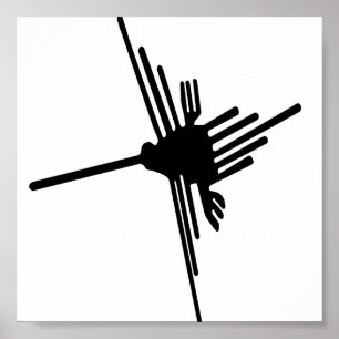 Nazca Hummingbirdaffisch Poster