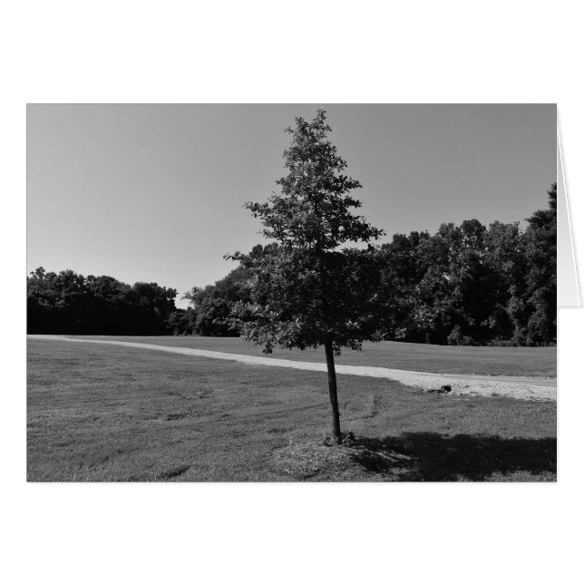 NC/Noir, kort (Framsidan Horizontal)