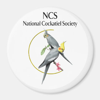 NCS Stor 3-tums rund magnet