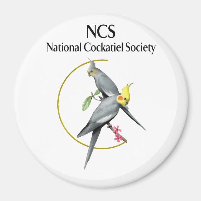 NCS Stor 3-tums rund magnet (Framsidan)