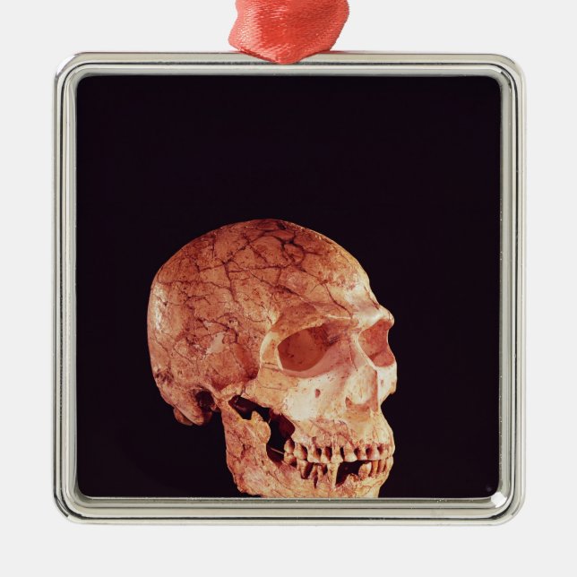 Neanderthalskalle som upptäcks på Mt Carmel Julgransprydnad Metall (Framsidan)