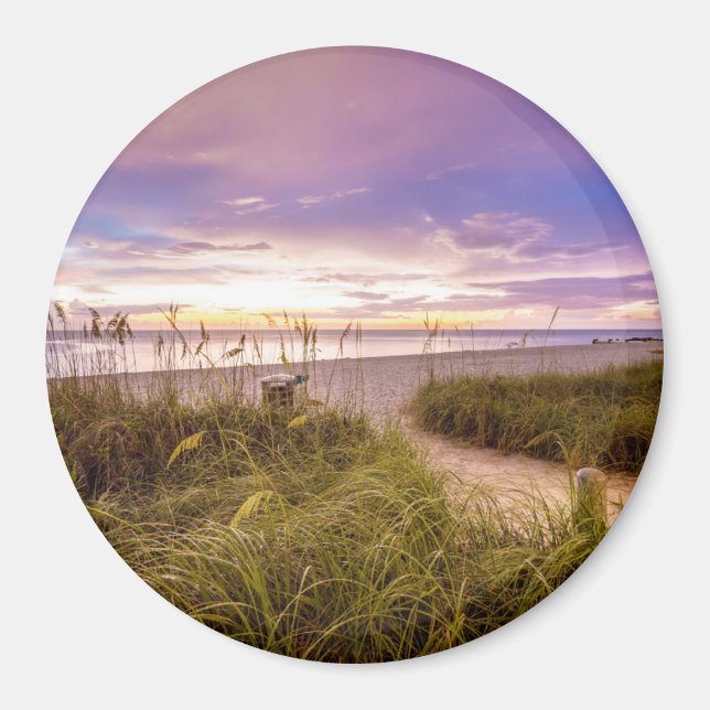 Neapel Beach Shore and Lugn Ocean | Florida Magnet (Framsidan)