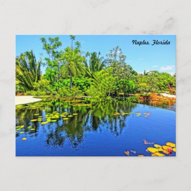 Neapel Florida Botanical Garden - Oändligheten Bas Vykort (Framsida)