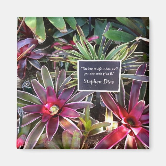 Neapel Florida Botanical Garden Stephen Dias Quote Magnet (Framsidan)
