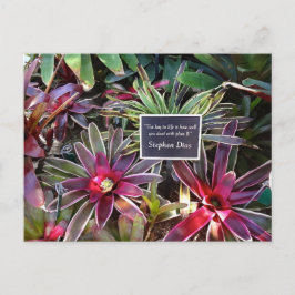 Neapel Florida Botanical Garden Stephen Dias Quote Vykort