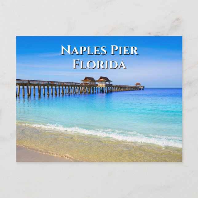 Neapel Pier Florida Blue Ocean Postcard Vykort (Framsida)