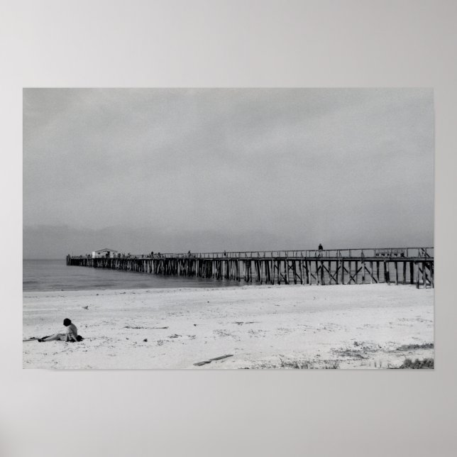 Neaples Florida Pier Poster (Framsidan)