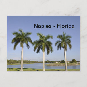 Neaples Florida Vykort