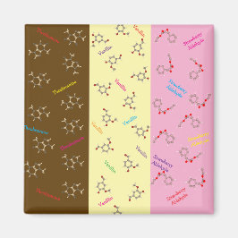 Neapolitan Ice Cream Chemistry Magnet
