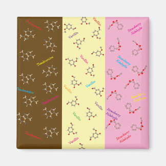 Neapolitan Ice Cream Chemistry Magnet