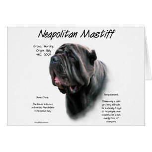 Neapolitan Mastiff (blk) historikdesign Hälsningskort
