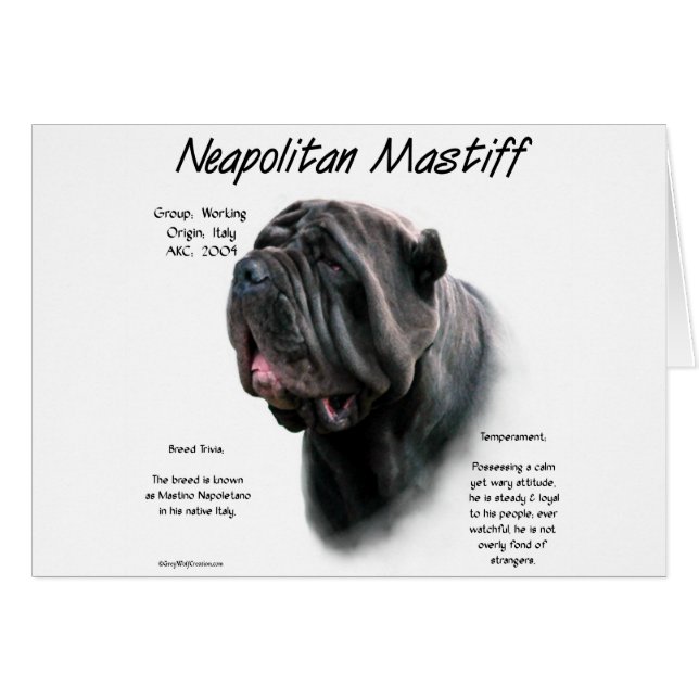 Neapolitan Mastiff (blk) historikdesign Hälsningskort (Framsidan Horizontal)