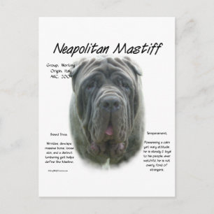 Neapolitan Mastiff (grått) historikdesign Vykort