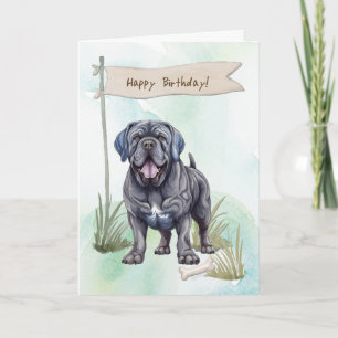Neapolitan Mastiff Hund aveln under födelsedagssky Kort