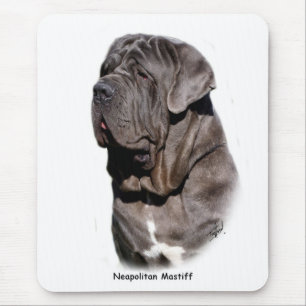 Neapolitan Mastiff Musmatta