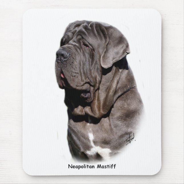 Neapolitan Mastiff Musmatta (Framsidan)