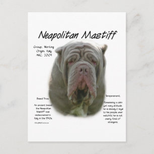 Neapolitan Mastiff (tawny) historikdesign Vykort