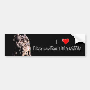 Neapolitan mastiffbildekal bildekal