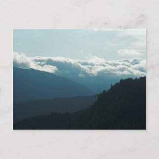 Near Falls Bäck Falls Washington-vykort Vykort