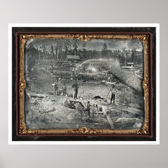 Near Nevada City, 1852 av Joseph Blaney Starkweath Poster (Framsidan)