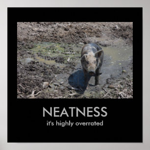 NEATNESS: Det är mycket överskattat Poster
