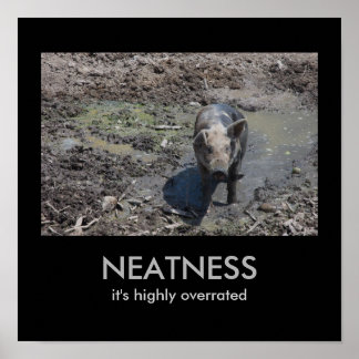 NEATNESS: Det är mycket överskattat Poster