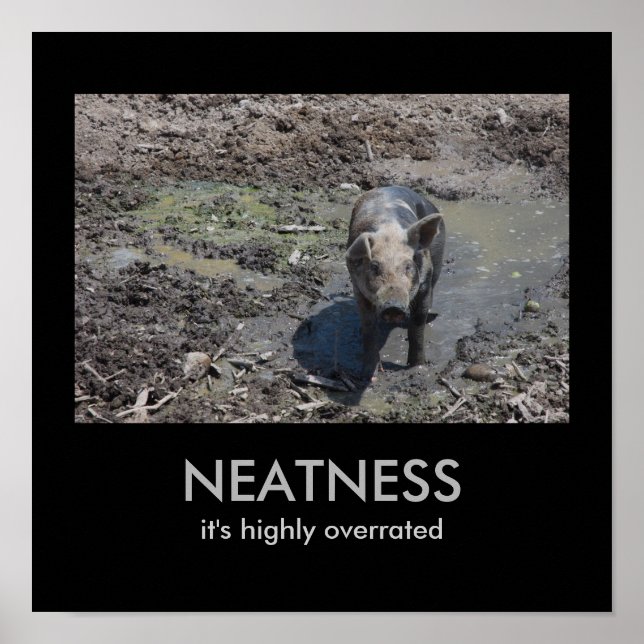 NEATNESS: Det är mycket överskattat Poster (Framsidan)