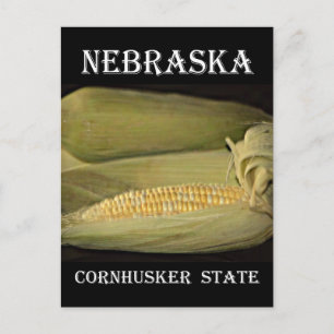 Nebraska Cornhusker State Vykort