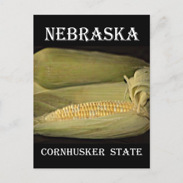 Nebraska Cornhusker State Vykort (Framsida)