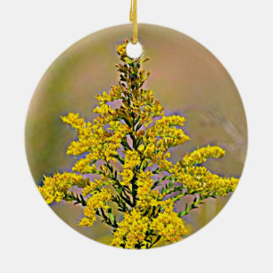 Nebraska Goldenrod Julgransprydnad Keramik