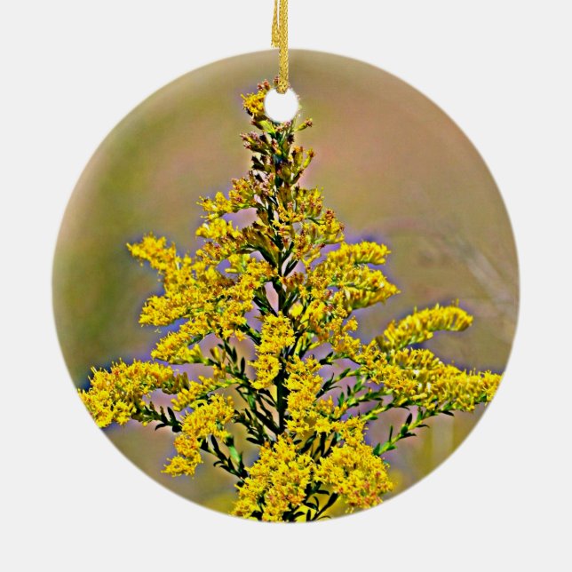 Nebraska Goldenrod Julgransprydnad Keramik (Baksidan)