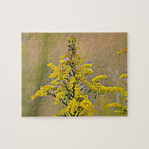 Nebraska Goldenrod Pussel
