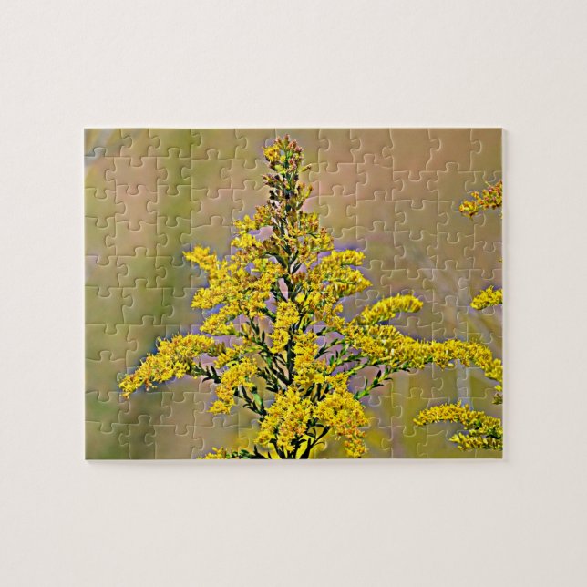 Nebraska Goldenrod Pussel (Horisontell)