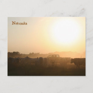 Nebraska Postcard Vykort