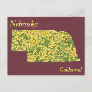 Nebraska State Flower Collage Karta Vykort