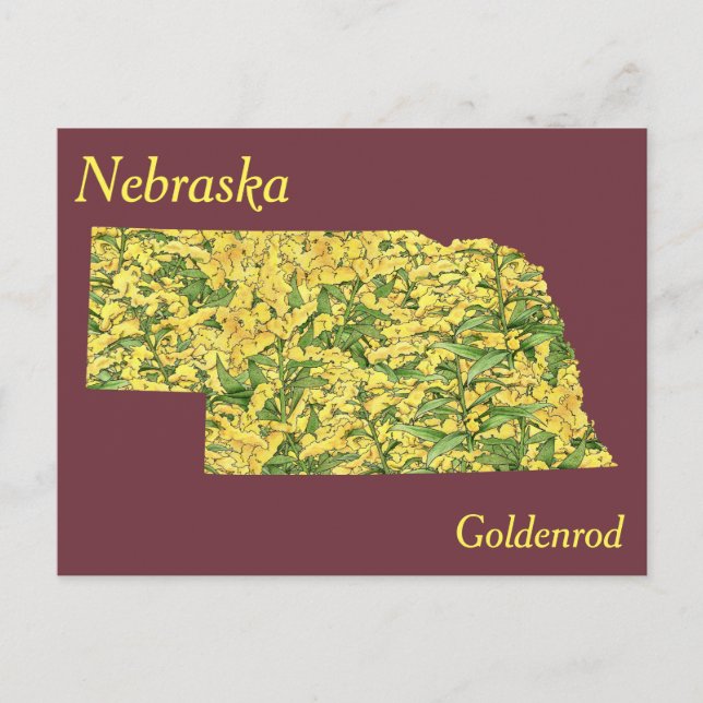 Nebraska State Flower Collage Karta Vykort (Framsida)