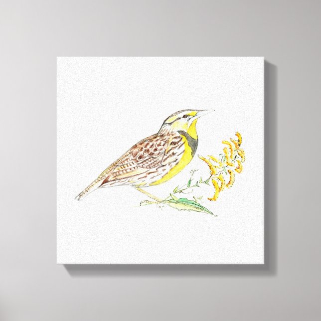 Nebraska Stretched Kanvastryck (Framsida)