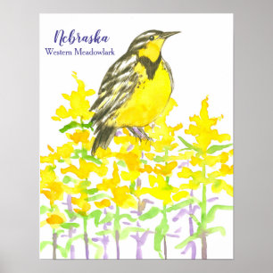 Nebraska Westerna Meadowlark Poster